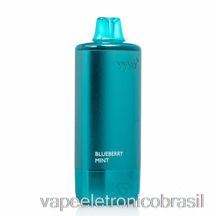 Vape Recarregável Vyve 10000 Descartável Blueberry Mint